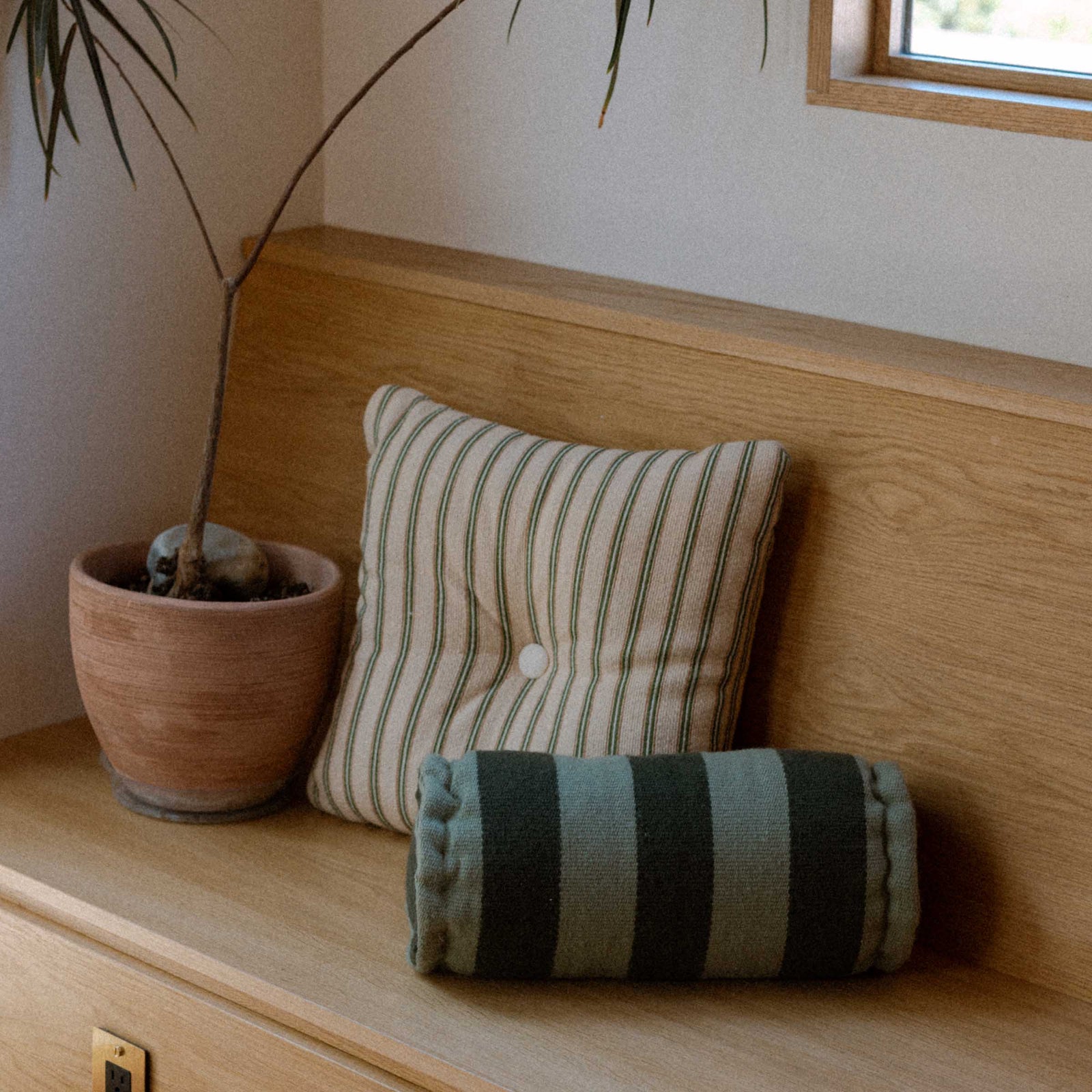 Striped pillow and bolster on a wooden bench with a plant in the corner.