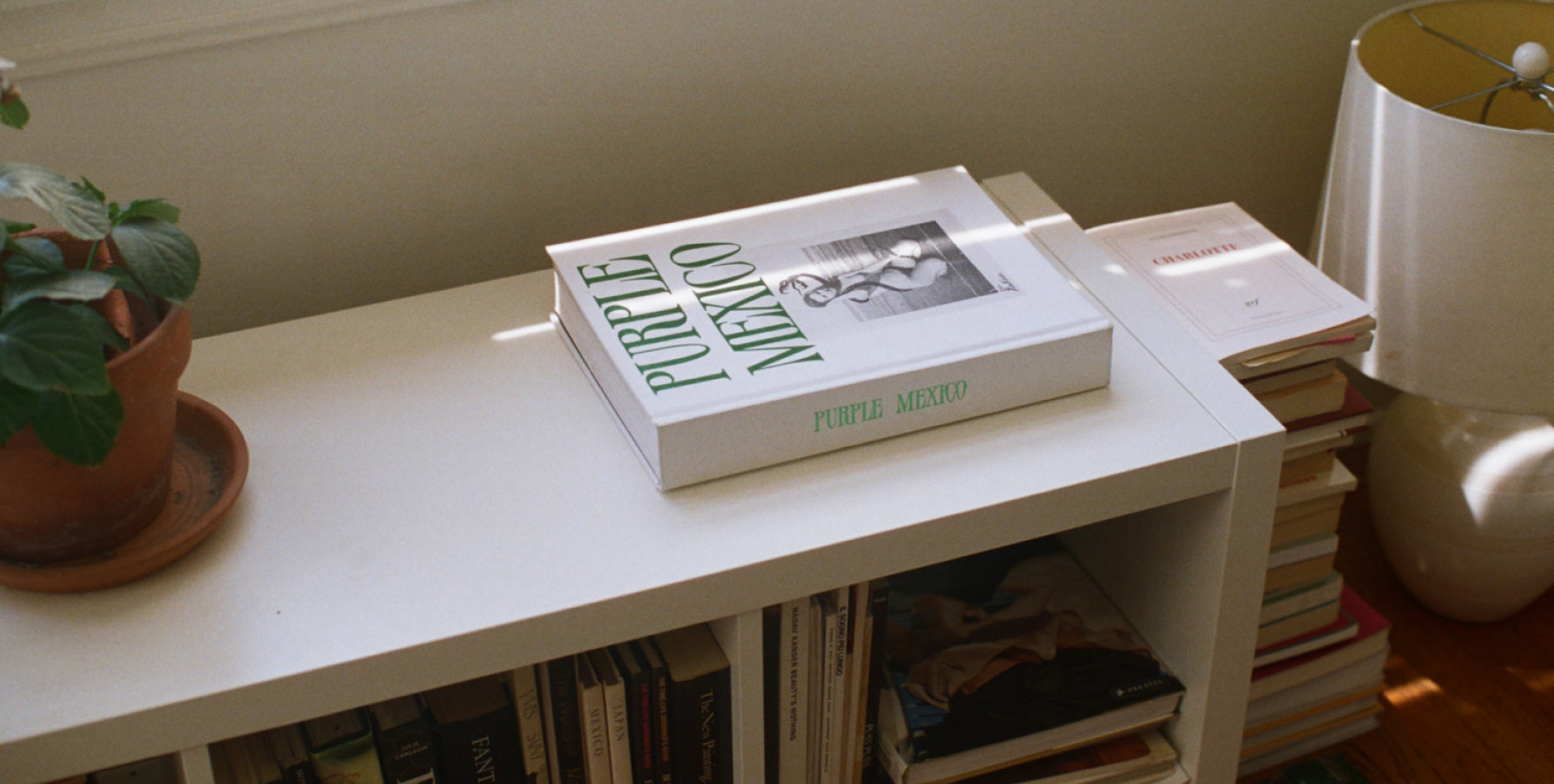 A white hardcover book titled 'Purple Mexico' sits on a white bookshelf in a home setting, surrounded by other books, a potted plant, and a lamp.
