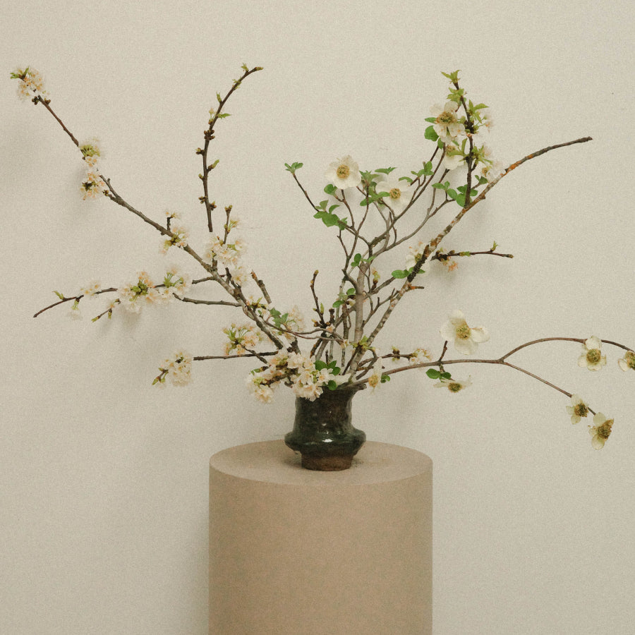 A floral arrangement of white blossoms on thin brown branches with small green leaves, displayed in a dark green ceramic vase on a round beige pedestal against a plain light beige wall.