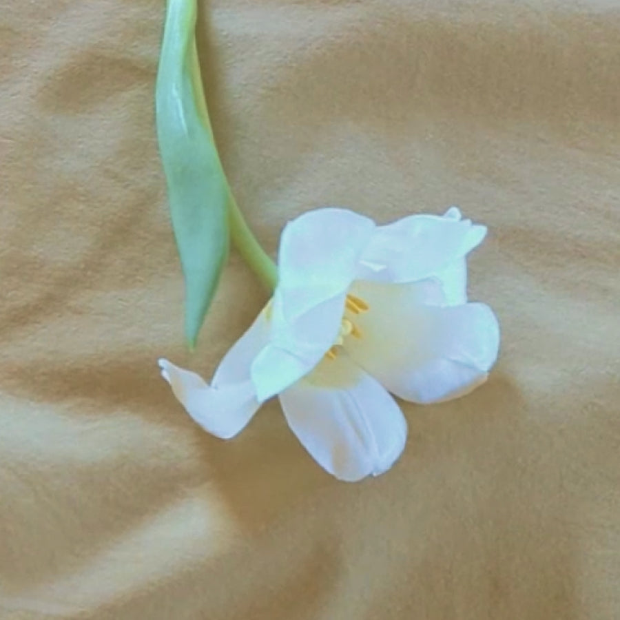 A single white tulip flower with a green stem and leaf, lying on a textured beige fabric background.